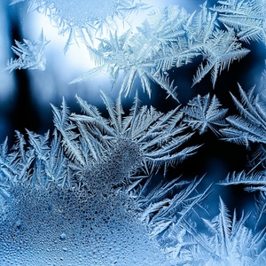 Cryolipolyse